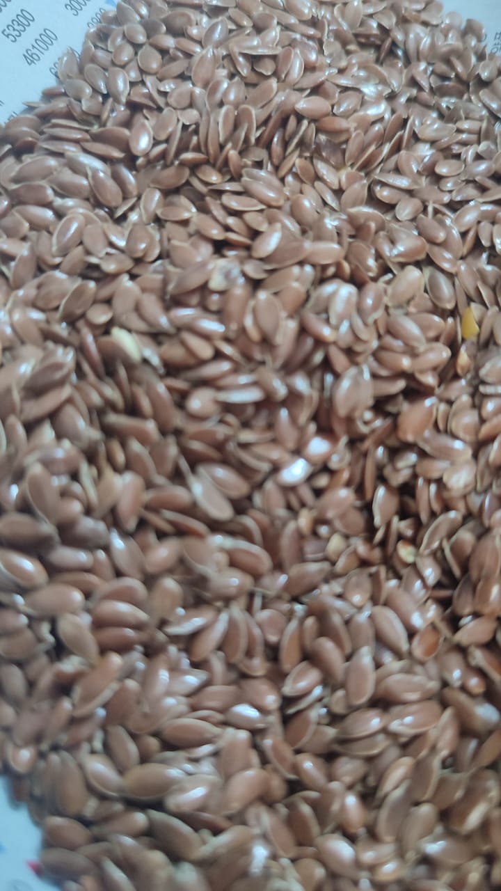 Flax Seeds